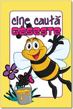 Cutie joc Cine cauta gaseste